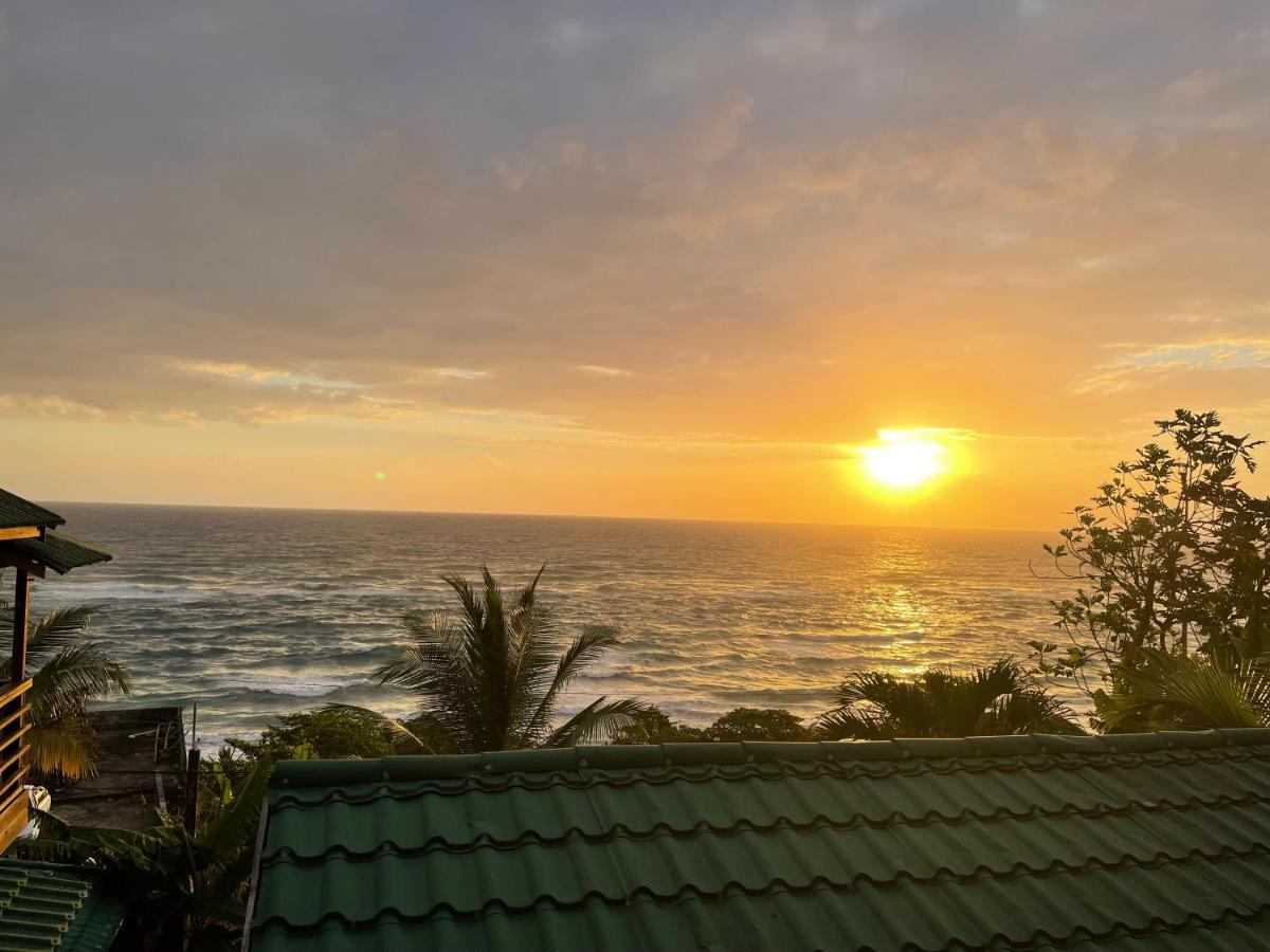 Villa Rasta - Ocean View Bungalows Port Antonio Bagian luar foto