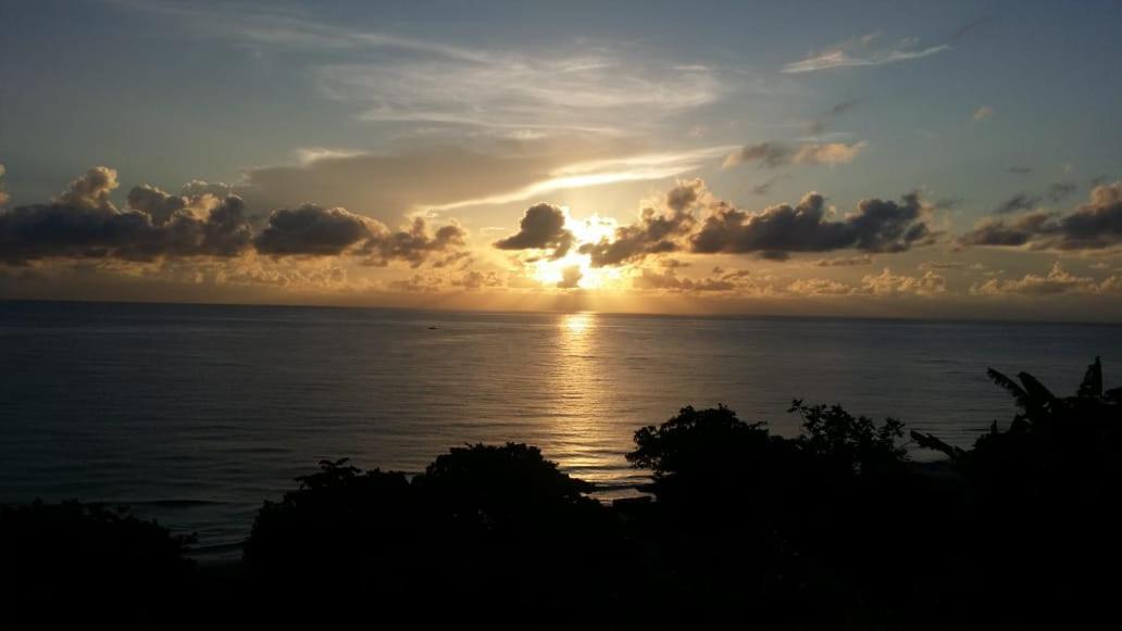 Villa Rasta - Ocean View Bungalows Port Antonio Bagian luar foto