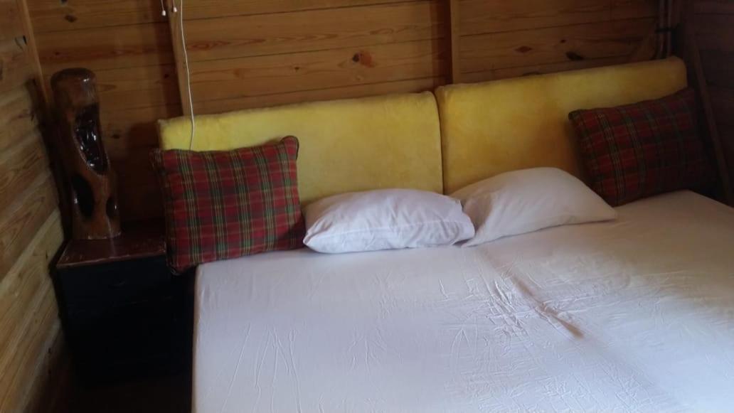 Villa Rasta - Ocean View Bungalows Port Antonio Bagian luar foto