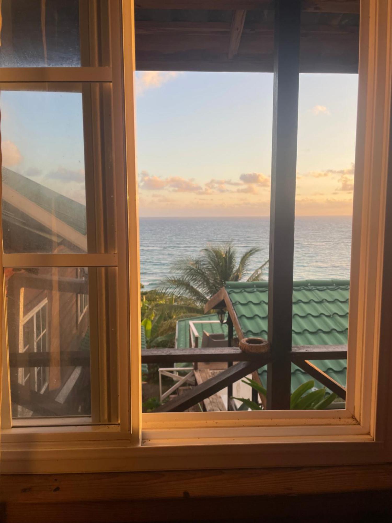 Villa Rasta - Ocean View Bungalows Port Antonio Bagian luar foto